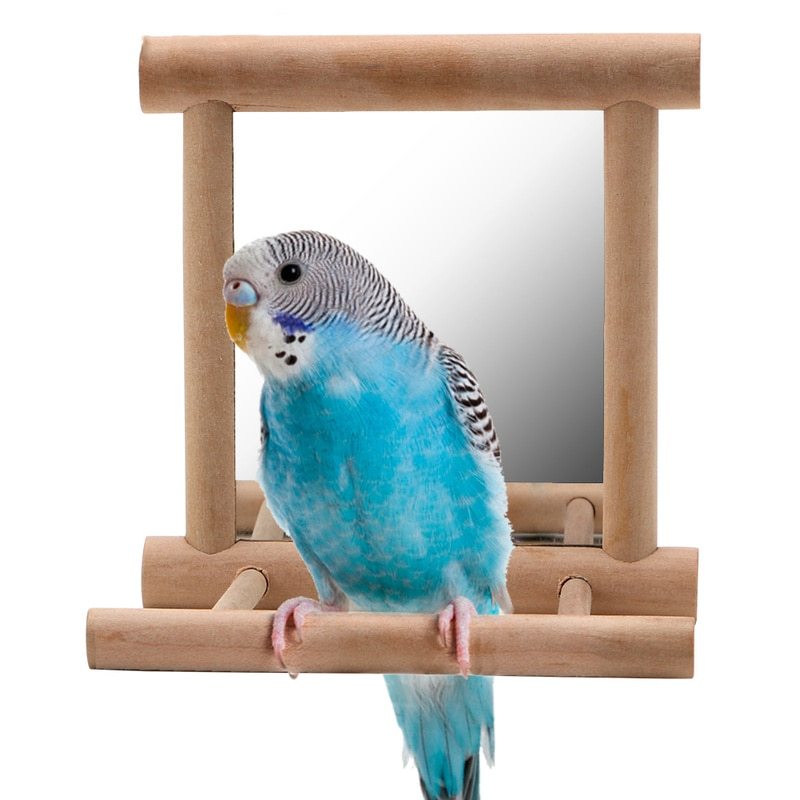 Bird Stand with Mirror – Entertain & Engage Your Feathered Friend