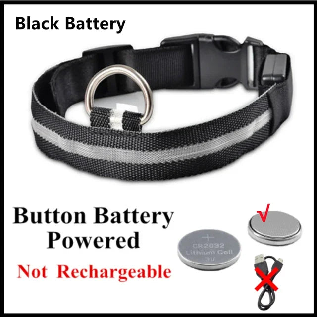 LED Dog Collar – Rechargeable Night Safety Light