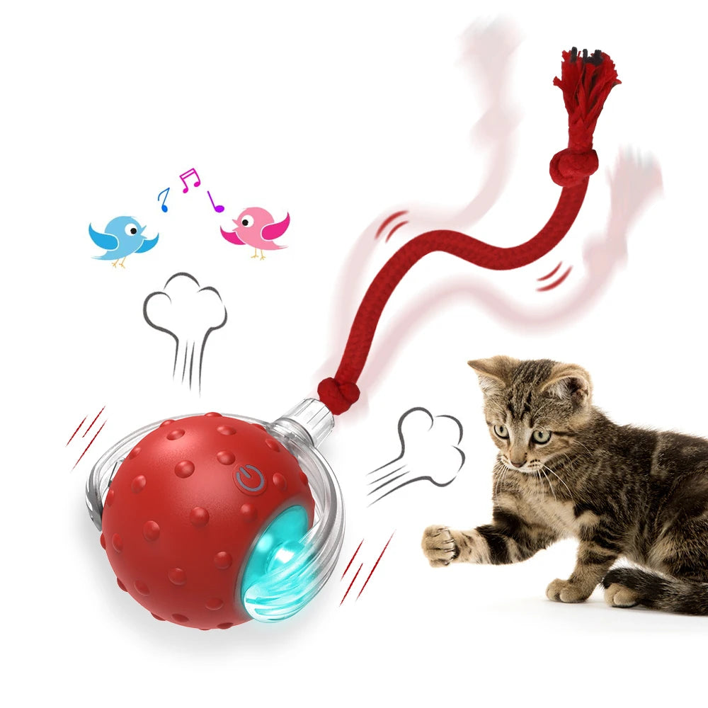 Interactive Rechargeable Cat Toy