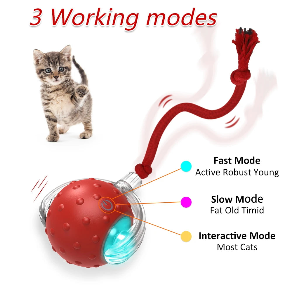 Interactive Rechargeable Cat Toy