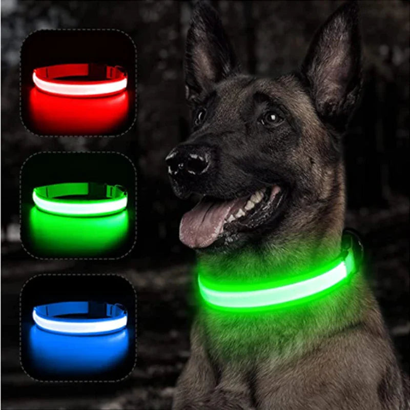 LED Dog Collar – Rechargeable Night Safety Light