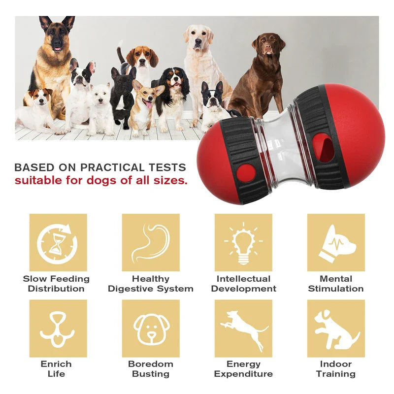 Interactive Slow Feeder Ball for Pets – Mental Stimulation & Food Dispenser