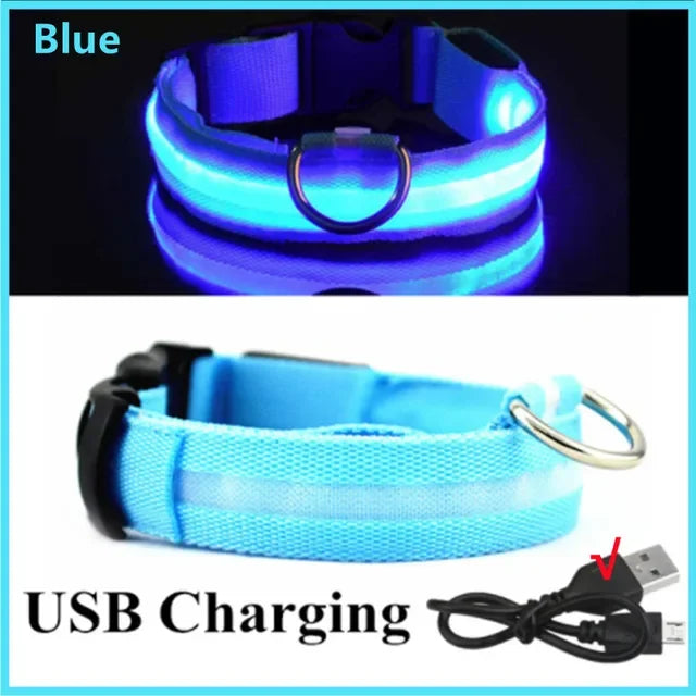 LED Dog Collar – Rechargeable Night Safety Light