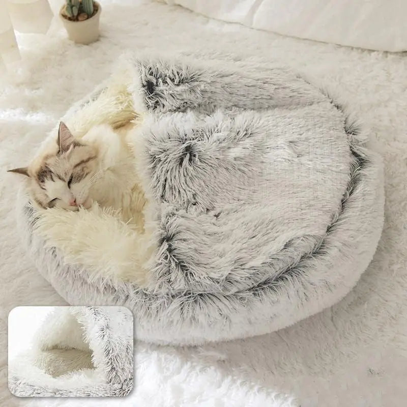 Pet Beds & Comfort