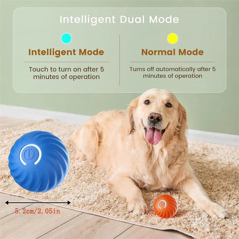 Chase Mate- Interactive Ball For Pets