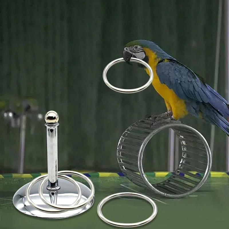 Stacking Ring Training Toy – Fun & Smart for Birds!