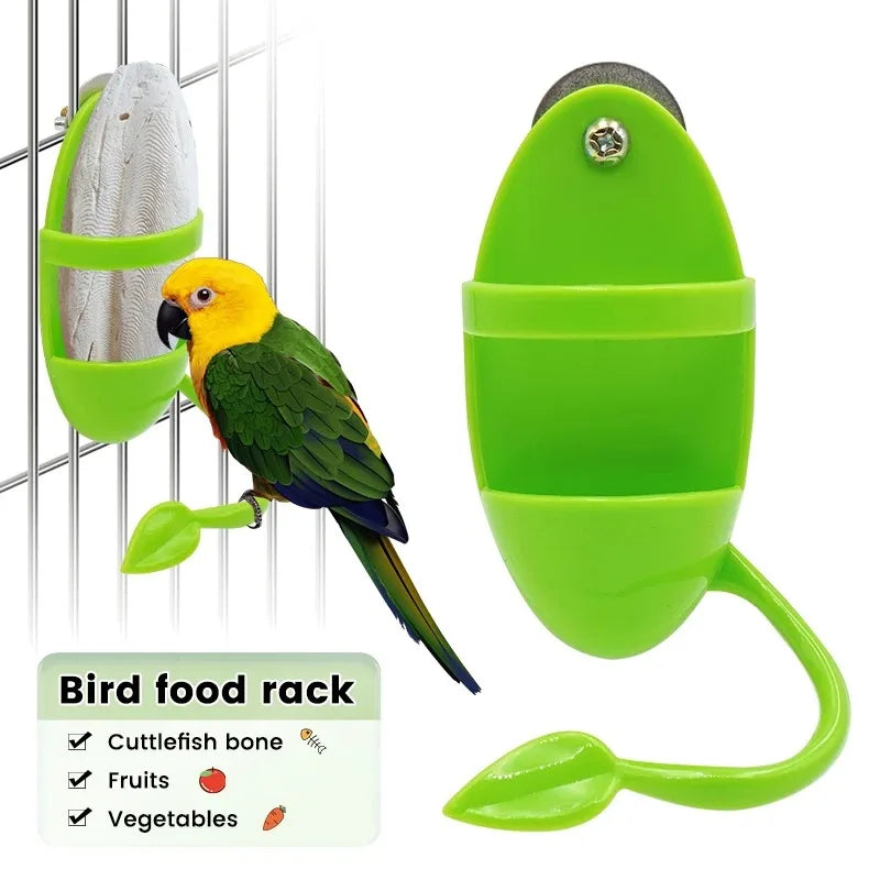 Hanging Bird Feeder & Perch – Feed, Play, Relax!