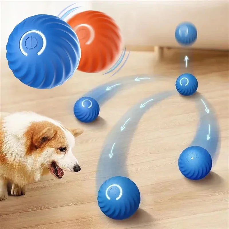 Chase Mate- Interactive Ball For Pets