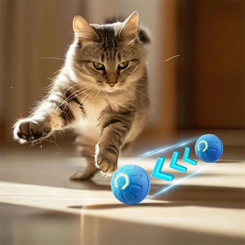 Chase Mate- Interactive Ball For Pets