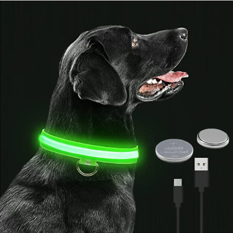 LED Dog Collar – Adjustable, Rechargeable, and Anti-Lost Night Safety Light