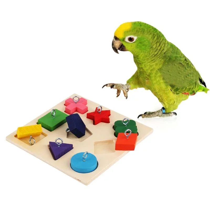 Parrot Educational Puzzle Toy – Boost IQ & Bonding