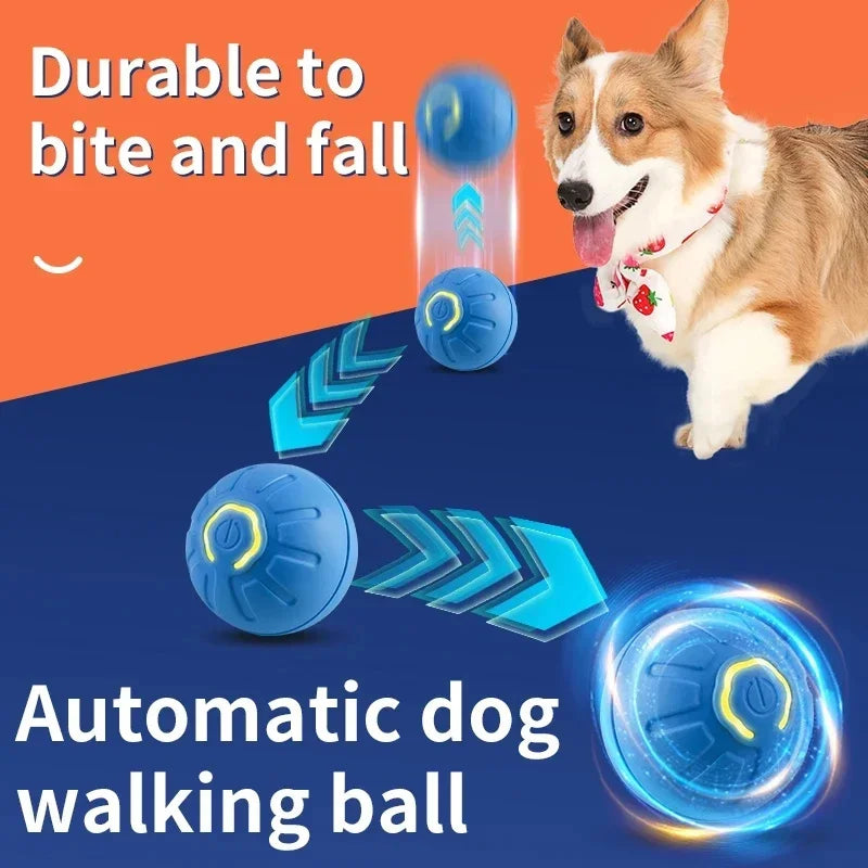 Chase Mate- Interactive Ball For Pets