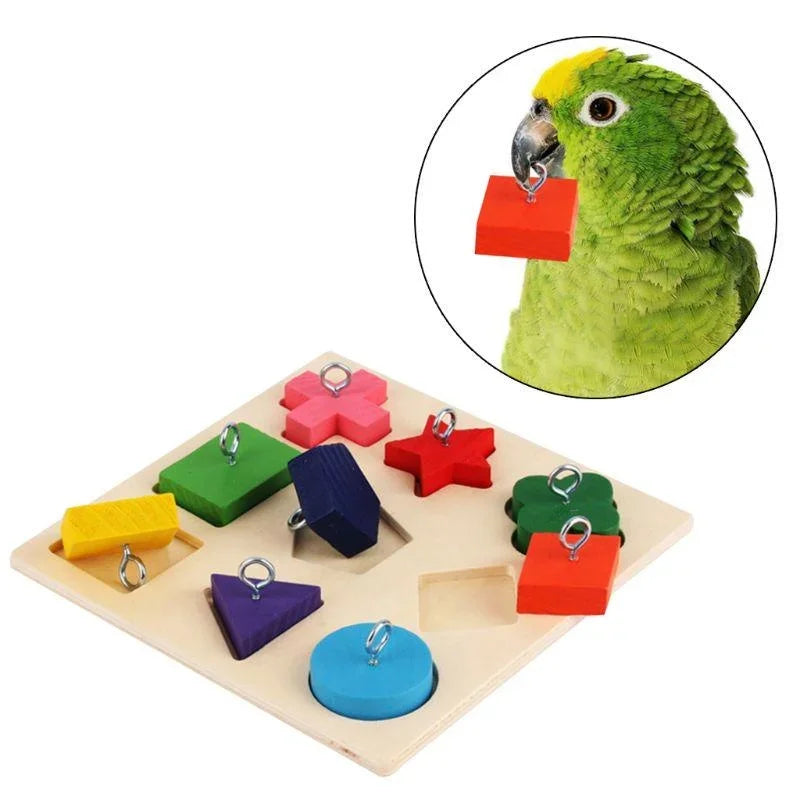 Parrot Educational Puzzle Toy – Boost IQ & Bonding