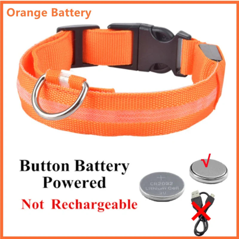 LED Dog Collar – Adjustable, Rechargeable, and Anti-Lost Night Safety Light