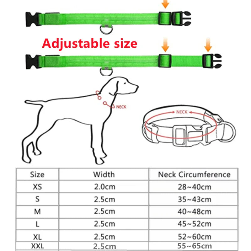 LED Dog Collar – Adjustable, Rechargeable, and Anti-Lost Night Safety Light