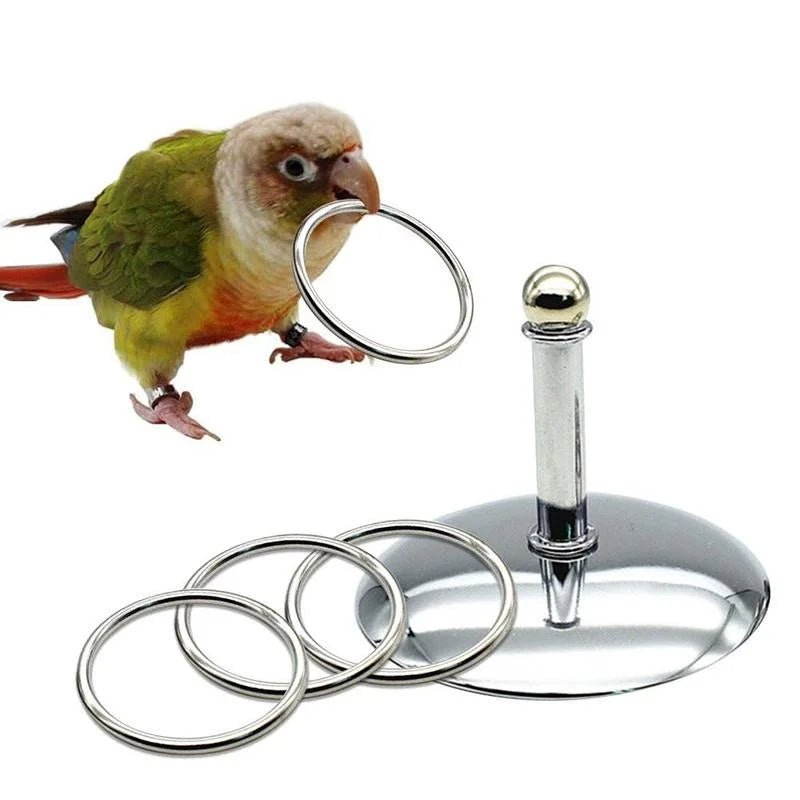 Stacking Ring Training Toy – Fun & Smart for Birds!