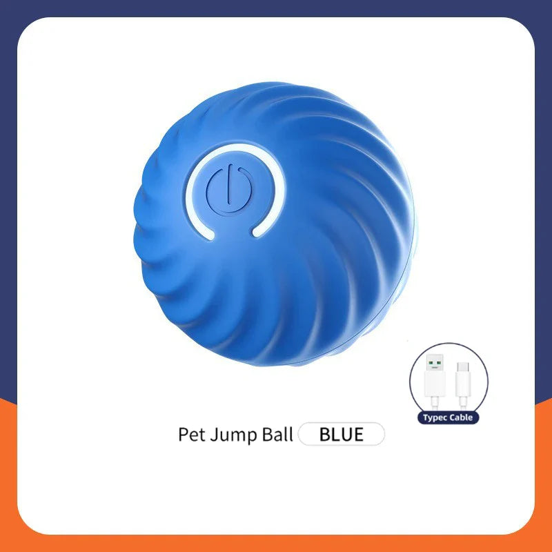 Chase Mate- Interactive Ball For Pets