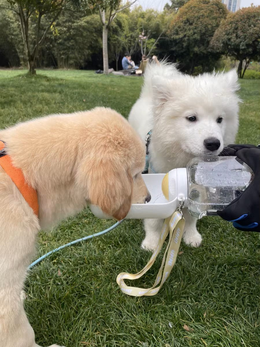 PawHydrate: Portable Pet Water & Food Bottle